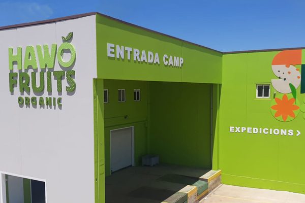 06 signo-rotulos-corporeos6