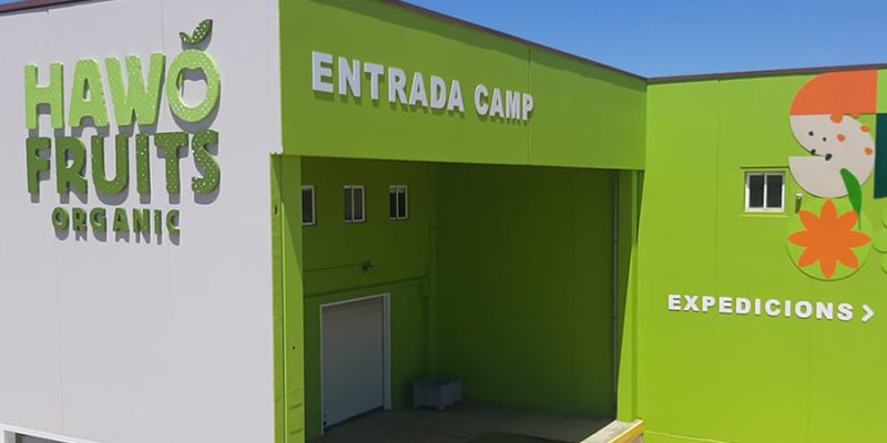 06 signo-rotulos-corporeos6