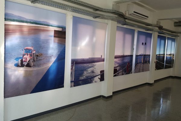 signo-impresion-escaparates3