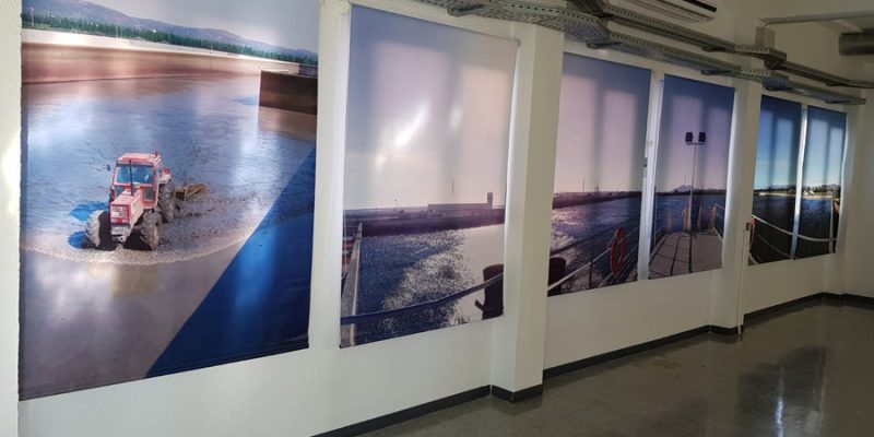 signo-impresion-escaparates3