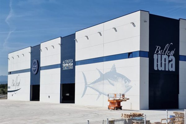 signo-pintura-altura-nave