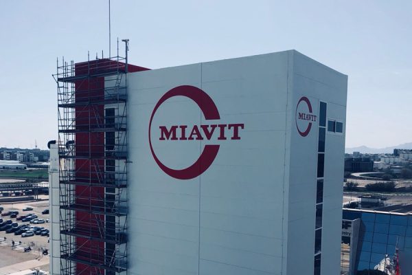 signo-pintura-altura2